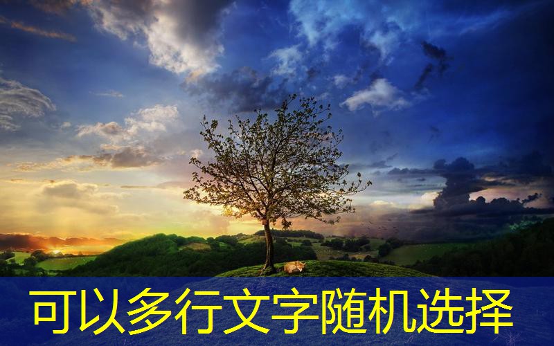 魔力宝贝手游诅咒迷宫攻略地图(魔力宝贝手游诅咒迷宫攻略地图大全)