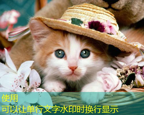 魔力宝贝端游宠物攻略