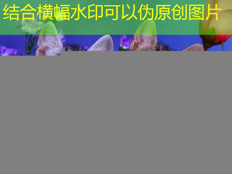 魔力宝贝怀旧经常掉线是什么问题