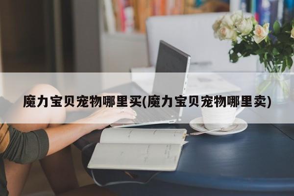 魔力宝贝宠物哪里买(魔力宝贝宠物哪里卖)
