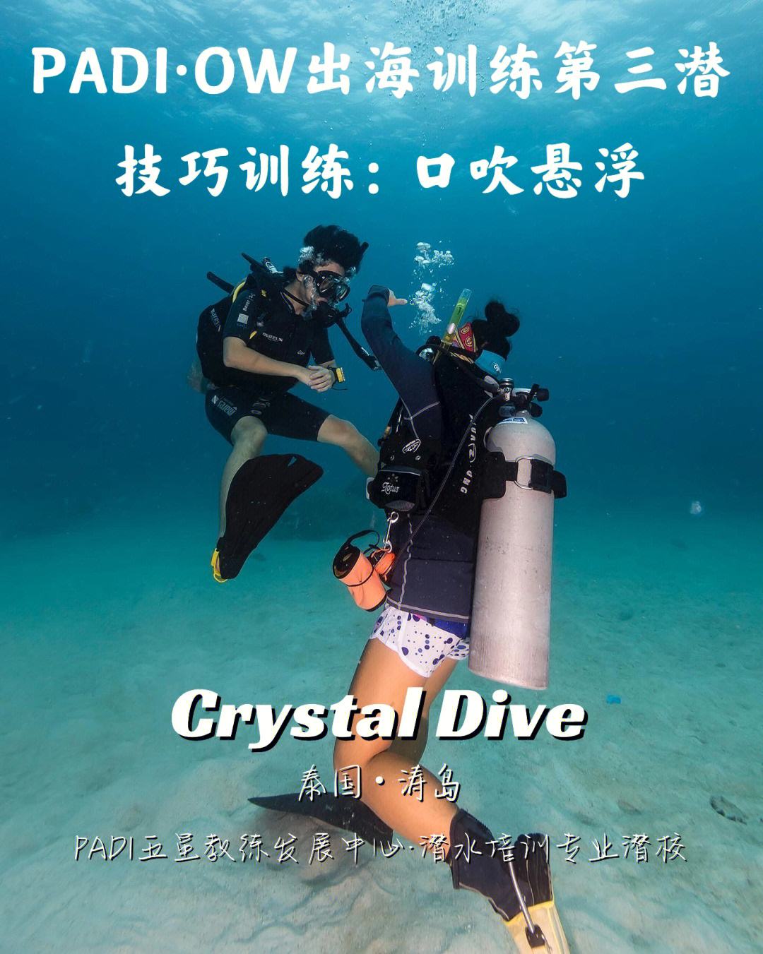 如何有效利用魔力宝贝资料站：提升训练技巧的秘诀！