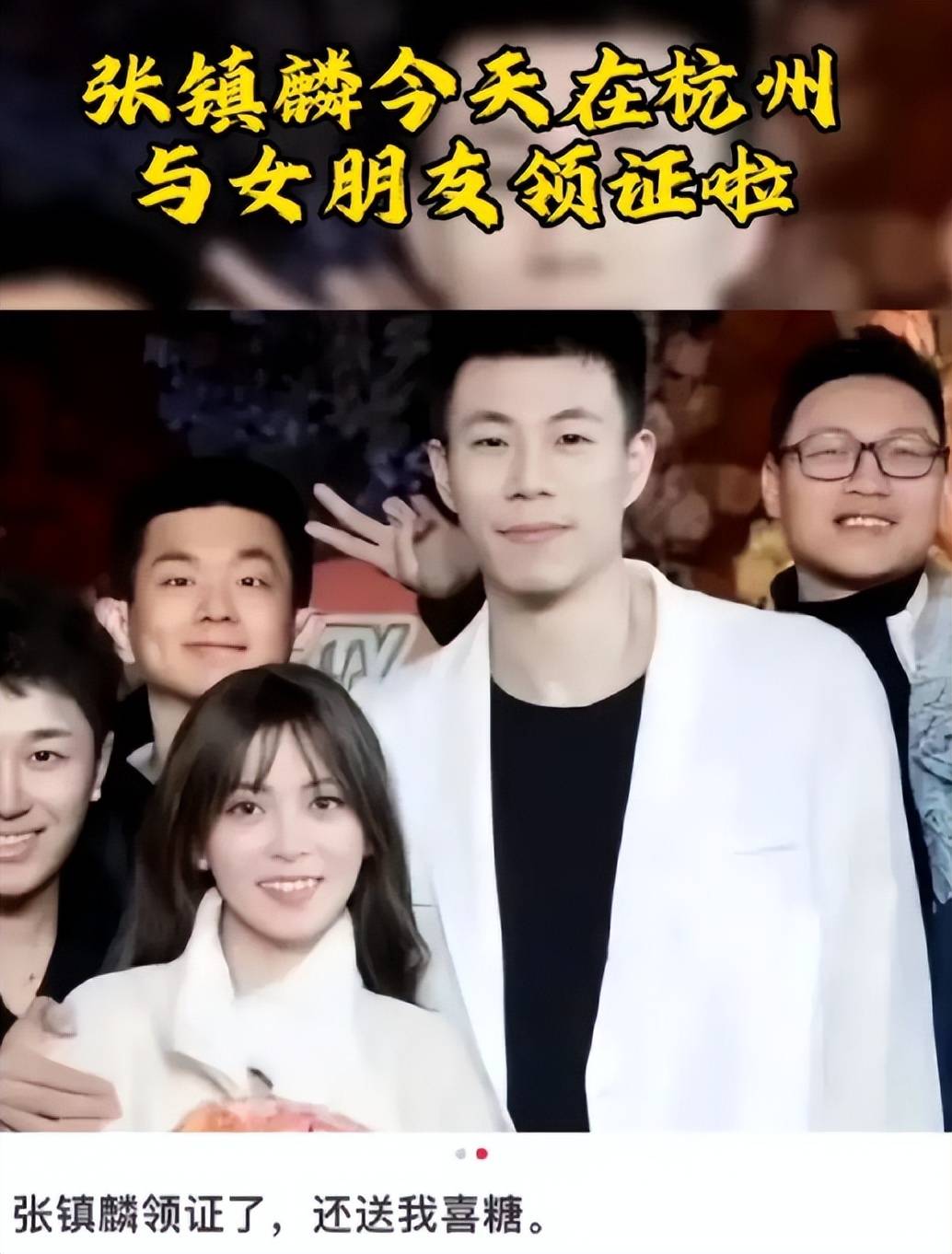 培养默契：宠物团队完美协作战胜敌人