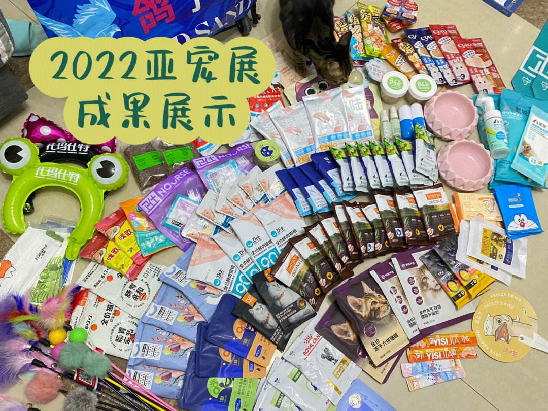 拥有独一无二的宠物伙伴：打造专属团队