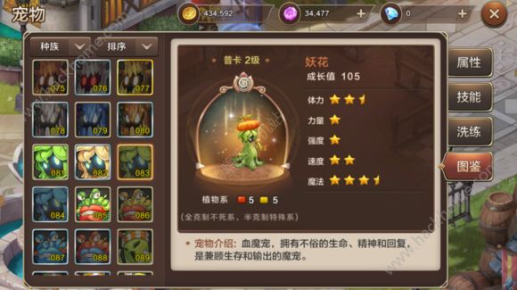 魔力宝贝宠物重点培养攻略汇总