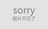 守护和平王国：与宠物伙伴共同守卫